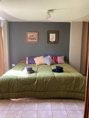 Departamento Céntrico Mendoza